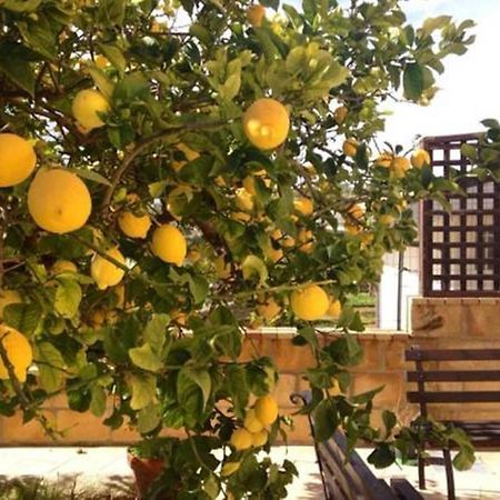 Villa Mara B&B 노토 외부 사진