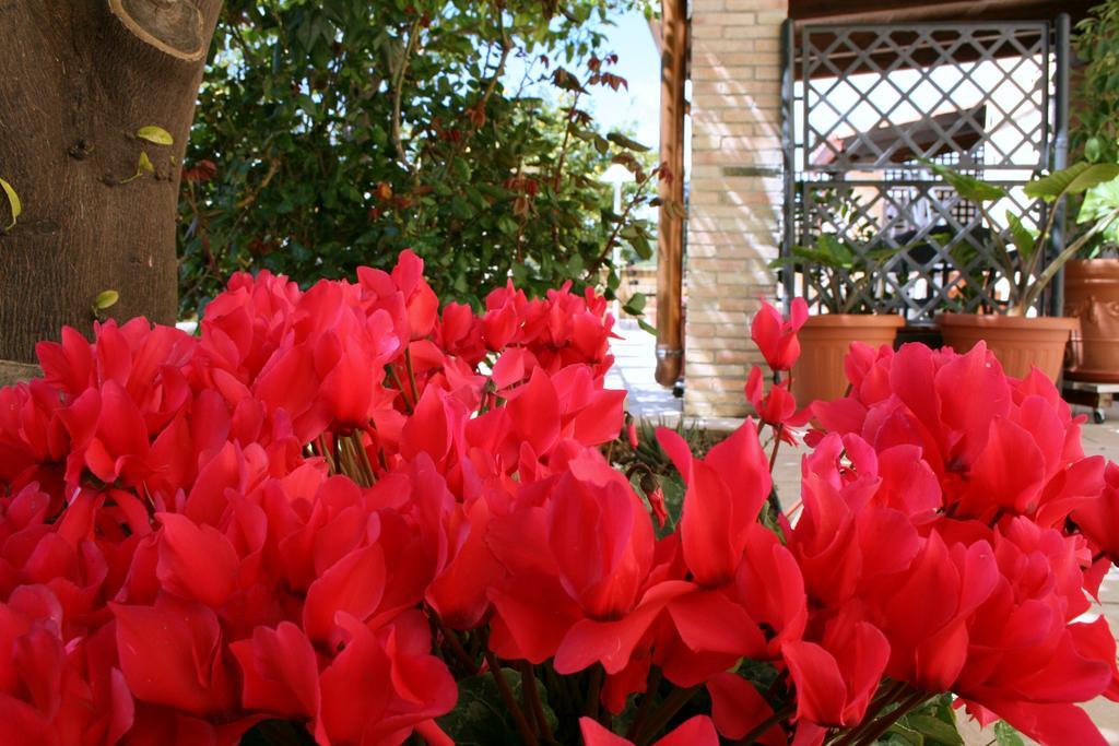 Villa Mara B&B 노토 외부 사진