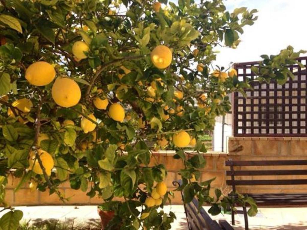 Villa Mara B&B 노토 외부 사진